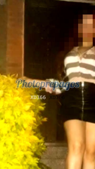 Sofía 3016524469, Escort en Barranquilla