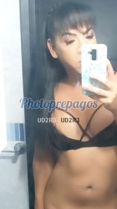 Sinayd 3125656093, Trans en Kennedy