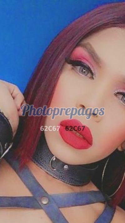 Valery 3135906215, Travesti en Chapinero