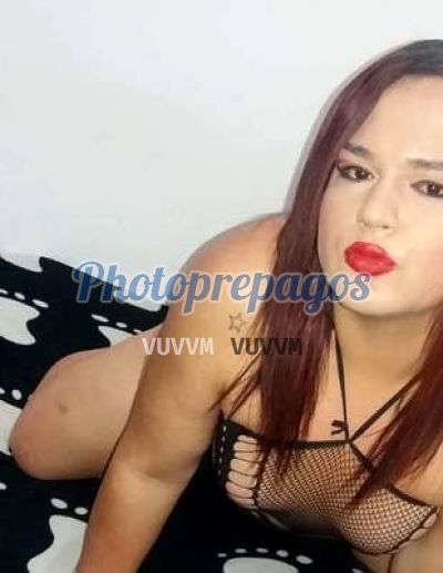 Lauren 3022440626, Shemale en Medellín