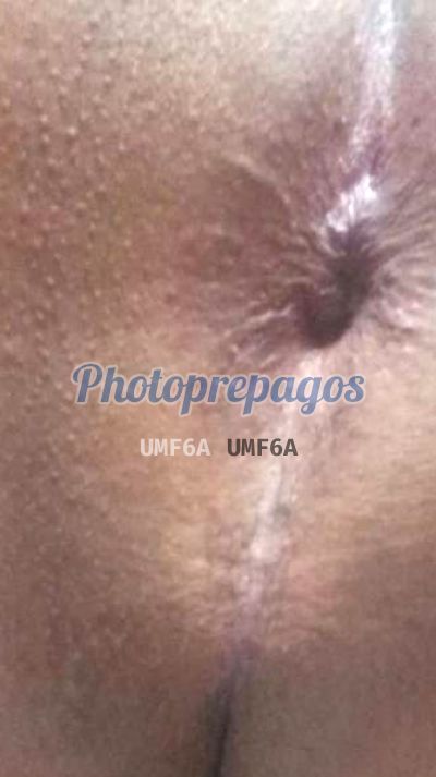 Kamila 3043805138, Travesti en Bucaramanga