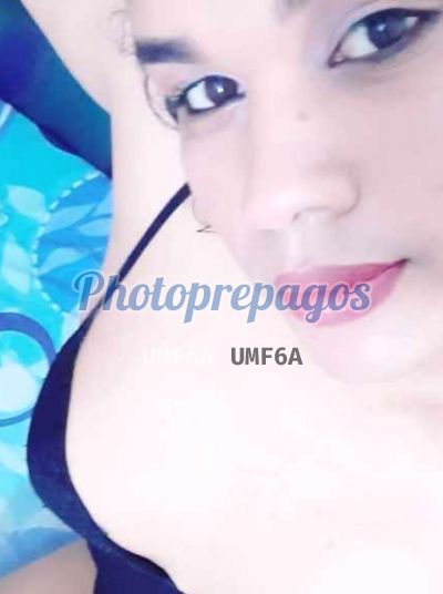 Kamila 3043805138, Transexual en Bucaramanga