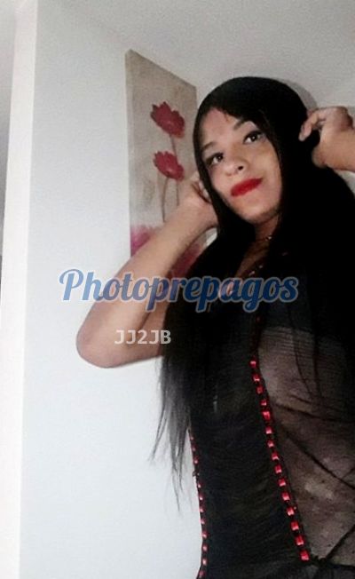 Daniela, shemale en Santa Cruz (Medellín)