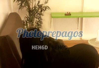 Lauren, prepago en Chapinero