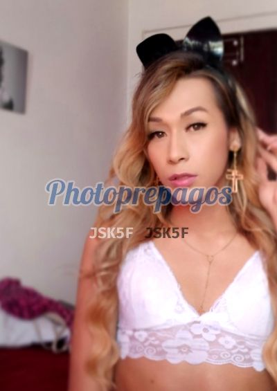 Kimberly Santiago, shemale en Palmira