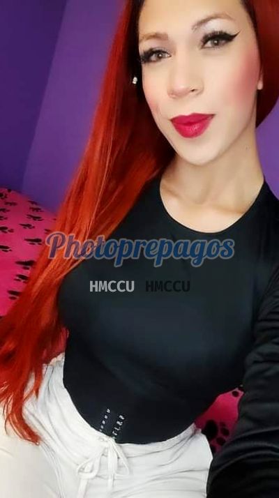 Sara Corrales, shemale en Teusaquillo