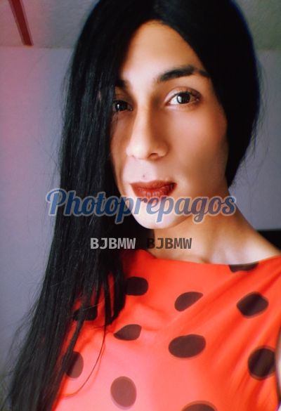 Paulina, Trans en Bosa