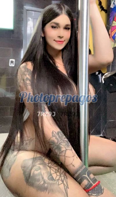 Danna Cattleya 3138744011, Trans en Medellín