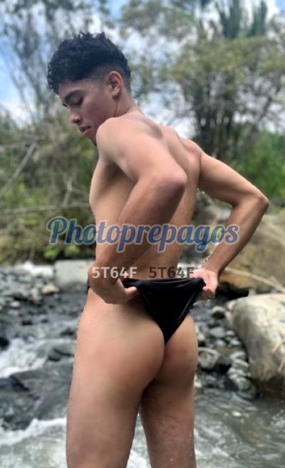 David, Hombre en Palmira