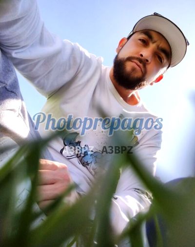 Harry 3165416415, Hombre que da masajes eróticos en Chapinero
