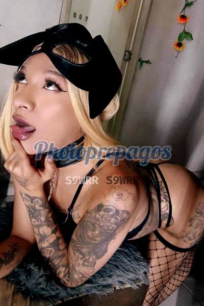 Shanell 3005043119, shemale en Laureles (Medellín)